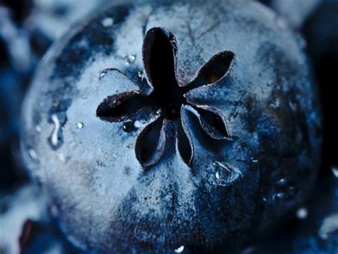 38 Macro Photography Ideas To Shoot at Home