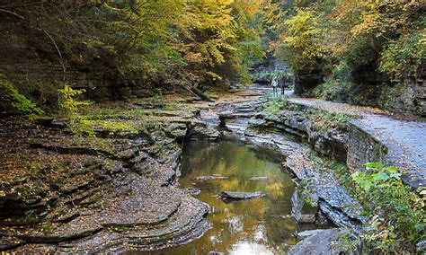 The 7 best things to do and see at Watkins Glen State Park