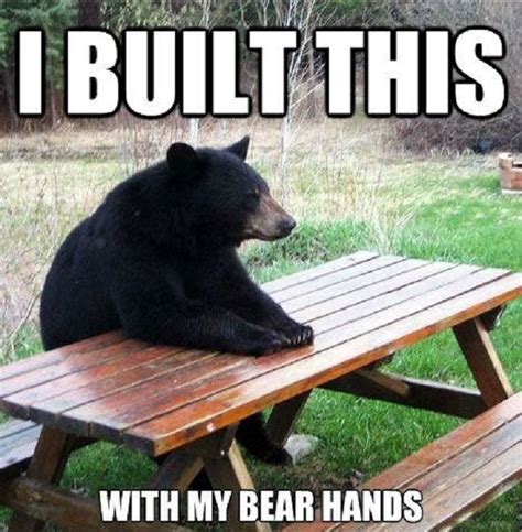 I'll be using this for my pun board | A Punful World | Funny bears, Animals, Cute animals