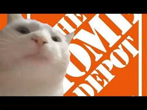 10 meilleures vidéos de Vibing Cat Meme