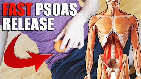 10 Psoas Exercises Ideas Psoas Release Psoas Muscle Tight Hip Flexors ...