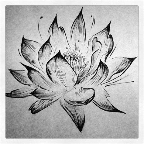 Black And White Lotus Flower Tattoo