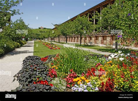 Spa gardens, Bad Durkheim Stock Photo - Alamy