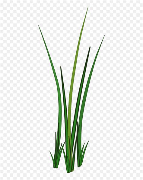 Grass Leaf Texture Png, Transparent Png - vhv