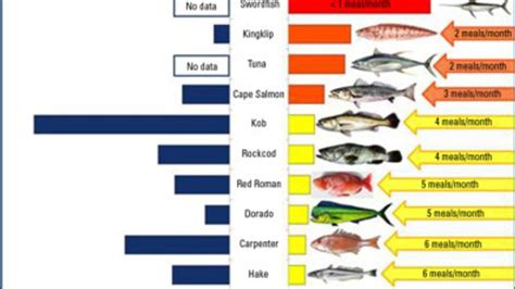 Guide to discern ‘potent’ mercury levels in fish