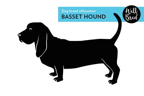 Basset Hound Vector Silhouette | Illustrations ~ Creative Market