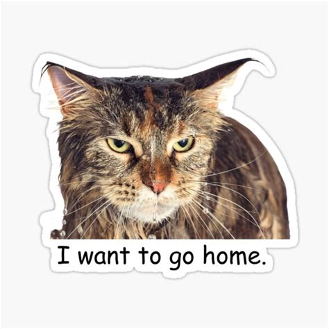 "I want to go home funny cat meme" Sticker for Sale by NateCF | Redbubble