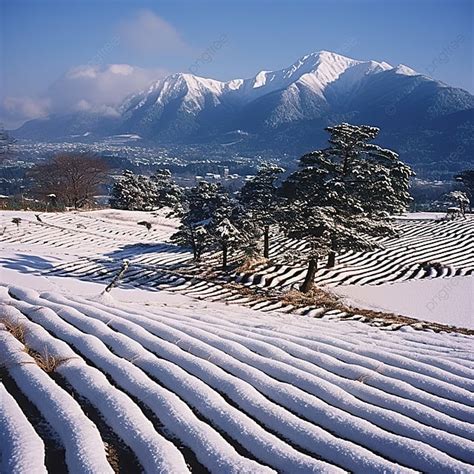 Snowy Fields Beside The Summit Of One Of The Highest Mountains In Japan ...