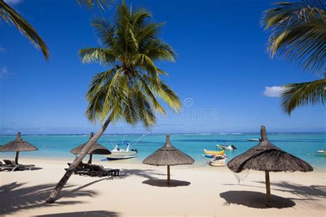 Honeymoon O Tropical Island of Mauritius Editorial Image - Image of exotic, beach: 89010575
