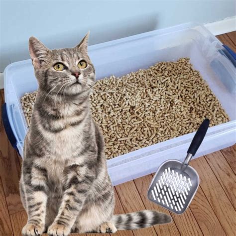 DIY Sifting Cat Litter Box Using Low-Cost Pine Pellets