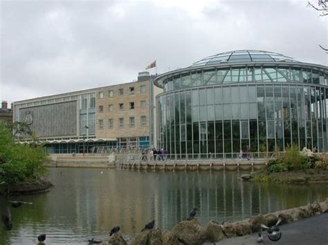 Sunderland Museum and Winter Gardens (Sunderland) - Visitor Information & Reviews