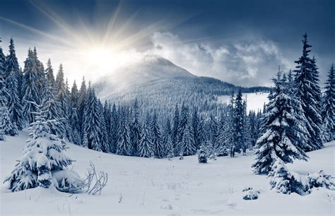 the sun shines brightly over snow covered trees