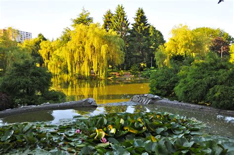 Pictures Vancouver Canada Nature Pond Parks Water lilies 2590x1720