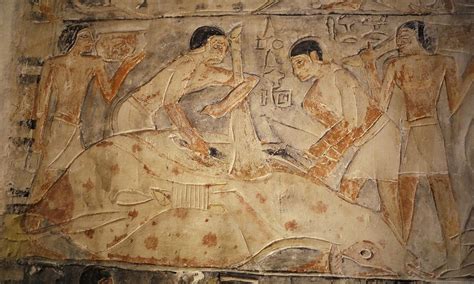 Egypt opens 4,300-year old tomb to the public at the Saqqara pyramid - Al Arabiya English