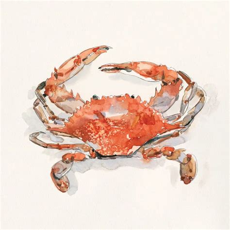 Crusty Crab II Art Print by Emma Caroline | iCanvas