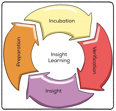 Insight Learning (Definition+ 4 Stages + Examples) - Practical Psychology