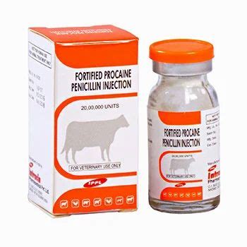 Fortified Procaine Penicillin Injection, Vet Injections, पशु चिकित्सा इंजेक्शन - Intracin ...