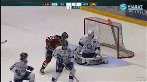 Hockey Gifs (45 gifs)