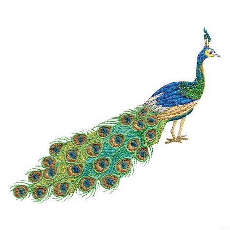 Swnpa144 Peacock Embroidery Design