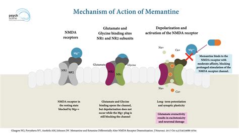 Memantine - Mechanism of Action & Clinical Application