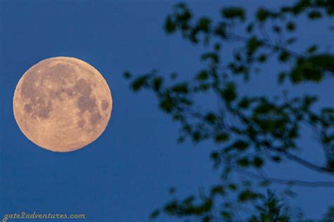 Photo of the Week: Super Flower Moon 2020 - Gate to Adventures