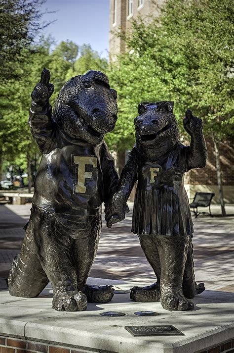 Albert and Alberta UF Mascots Photograph by Lynn Palmer