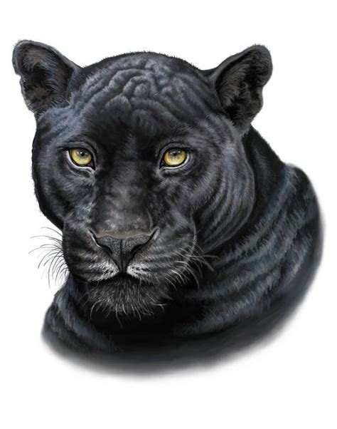 Black Panther -Print | Black panther tattoo, Animal drawings, Panther print