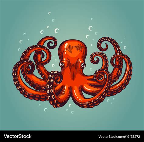 Octopus engraving vintage color engraving color Vector Image