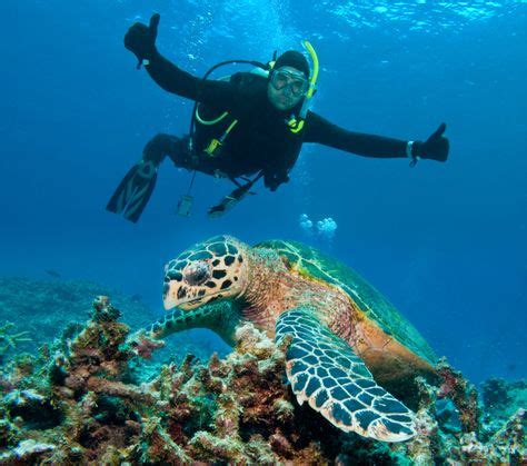 Explore the Underwater World with Scuba Diving