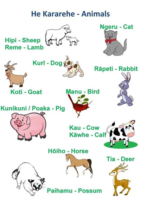 Animals | Maori words, Te reo maori resources teaching, Māori culture