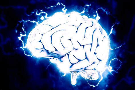 The Best Traits Of Your Brain | Brain World