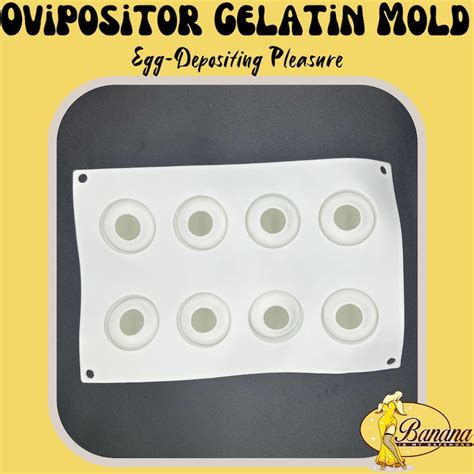 Ovipositor Gelatin Mold for Egg-depositing Pleasure Ovipositor Toy Egg ...