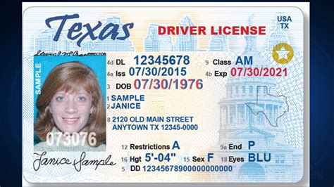 Texas Temporary Driver's License Template