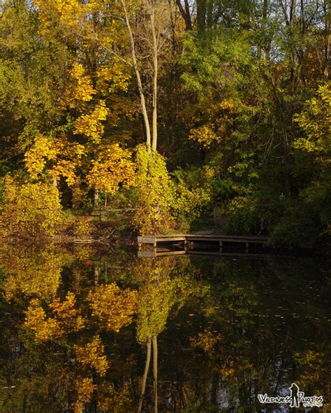 Michigan Landscapes - Wildness Photos by Gary O'Boyle