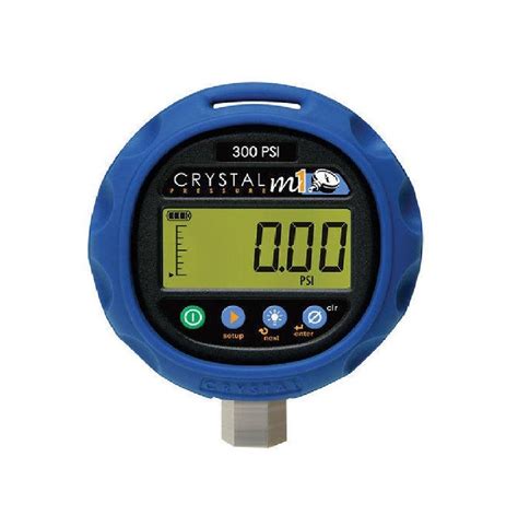 Digital Pressure Gauge Calibration at Rs 1250/instrument in Mumbai