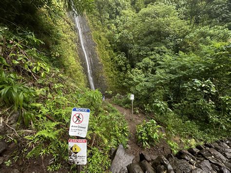 Hiking the Mānoa Falls Trail on Oʻahu — noahawaii