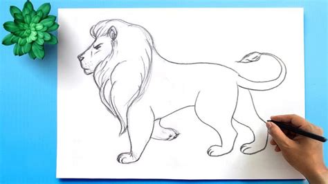 How to Draw a Lion Easy Step by Step || Lion Drawing | Lion drawing simple, Lion drawing, Easy ...