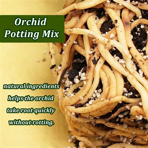 Orchid Potting Mix Orchid Soil with Sphagnum Moss Pine Bark Mulch Perlite Stone for Plants ...