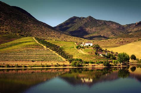 Douro Valley Small Group Tour with Wine Tasting, Portuguese Lunch and ...