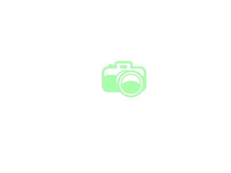 Green Camera For Photography Logo Clip Art at Clker.com - vector clip art online, royalty free ...