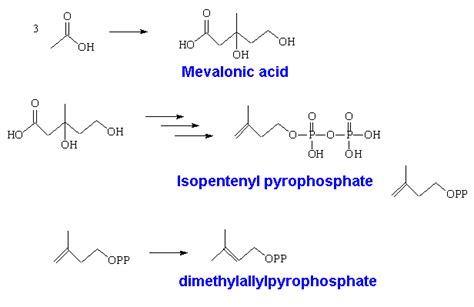 mevalonic acid - meddic