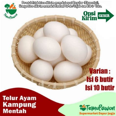 Detail Mewarnai Gambar Telur Ayam Menetas Koleksi Nomer 43