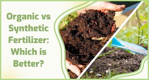 Organic vs Synthetic Fertilizer: Which is Better? ️