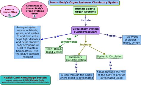 Zoom-Body's Organ Systems-Circulatory System.html