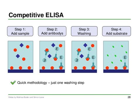 ELISA - Enzymed-Linked Immunosorbent Assay