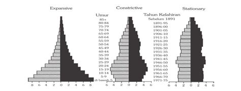 Macam-macam Bentuk Piramida Penduduk - Dinamika Penduduk