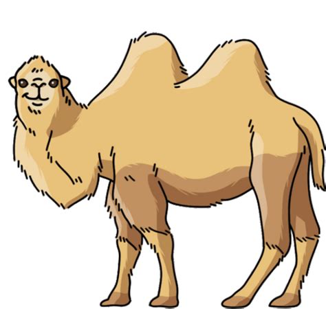 Hump Day Camel Gif - IceGif