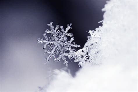 Snowflakes Up Close