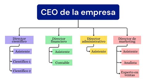 Mapa Conceptual Organizacion Gambaran | Images and Photos finder