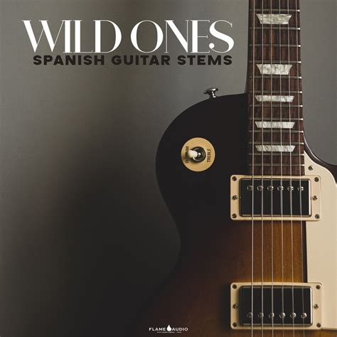 WILD ONES - Spanish Guitar Stems - Producer Sources